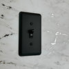 Devon Black Steel - 2 Duplex Wallplate