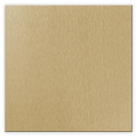 Screwless Oversized Brushed Gold - 2 Blank Wallplate