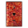 Autumn Copper - 1 Data Jack Wallplate - Wallplate Warehouse AUTMCOP1DJ 819332020453