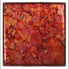 Autumn Copper - 2 Blank Wallplate - Wallplate Warehouse AUTMCOP2B 819332020422 2 Blank