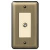 Devon Brushed Brass Steel - 1 Cable Jack Wallplate - Wallplate Warehouse 154CX 070686580271 Cable Jacks