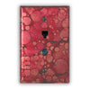 Wine Red Copper - 1 Phone Jack / 1 Cable Jack Wallplate - Wallplate Warehouse WIRDCOP1PJ1CJ 819332027032