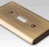 Devon Brushed Brass Steel - 1 Toggle / 1 Duplex Wallplate